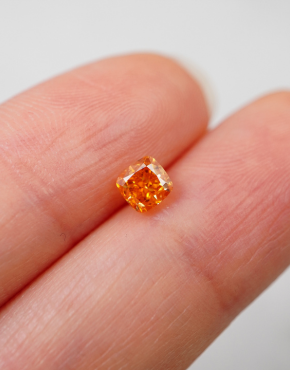 Dynamic International