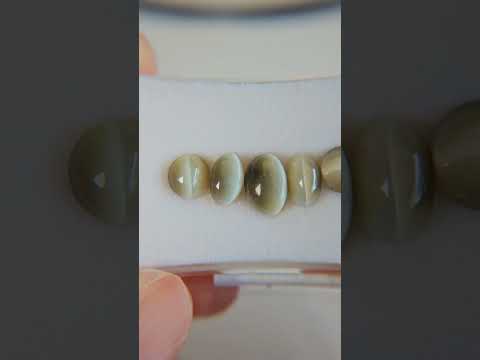 Apatite Cats Eye Deal (15.52 cts)
