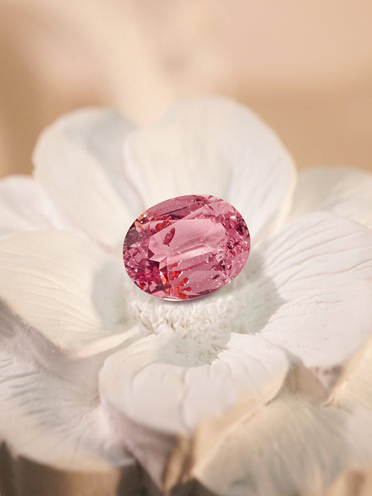 The Lotus Sapphire – Padparadscha