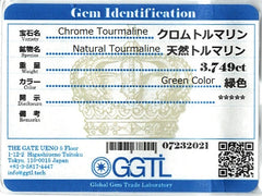 Natural Chrome Tourmaline (3.749 cts)