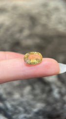 Yellow No Heat Sapphire (3.14 cts)