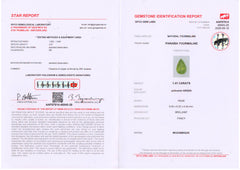 Paraiba Deal (1.41 cts)