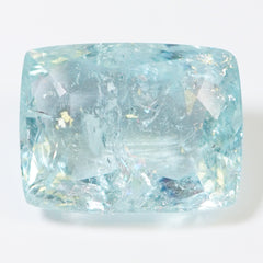 Mozambique 	Paraiba (14.76 cts)