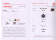 Royal Blue Sapphire Deal (3.16 Cts)