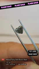 Natural Fancy Dark Brown Diamond Deal (1.01 cts)