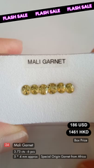 Mali Garnet Deal (3.73 cts)