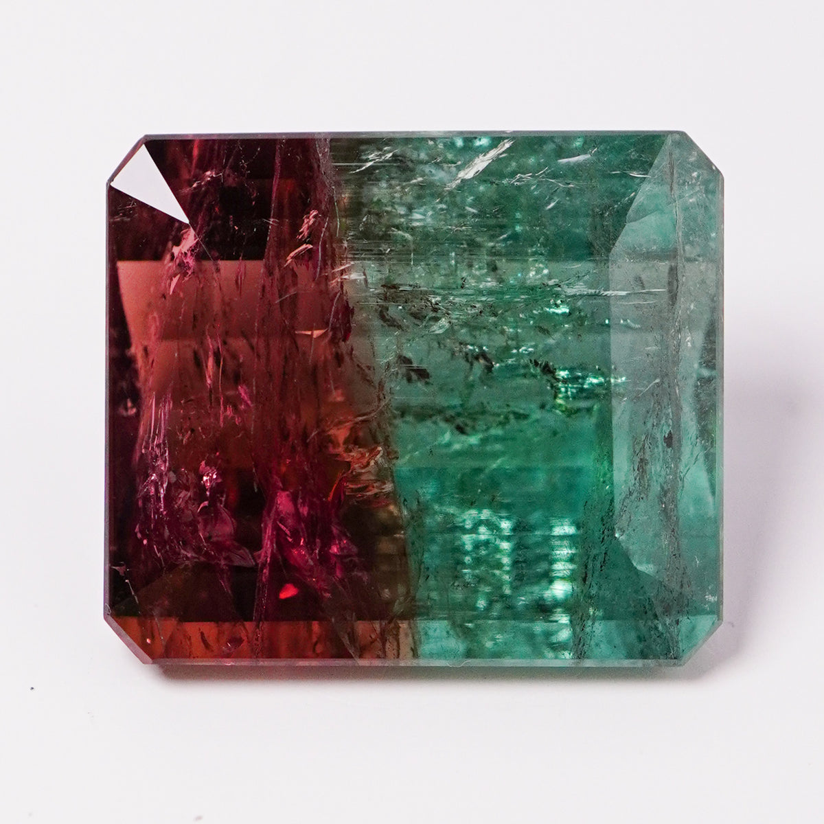 Bi-Color Tourmaline (32.66 Cts)