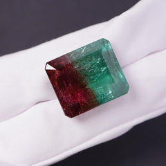 Bi-Color Tourmaline (32.66 Cts)