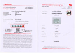 Paraiba Deal (2.64 cts)