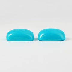 Sleeping Beauty Turquoise- Robin Egg Pair (4.45 Cts)