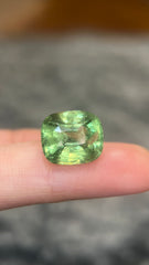 Natural Neon Green Tsavorite (7.49 Cts)
