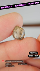 Natural Rough Diamond Deal (4.02 cts)