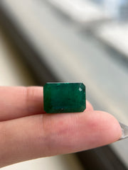 Vivid Green Zambian Emerald (8.24 cts)