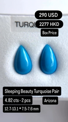 Sleeping Beauty Turquoise Pair Deal (4.82 cts)
