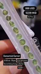 Demantoid Garnet Deal (16.65 cts)