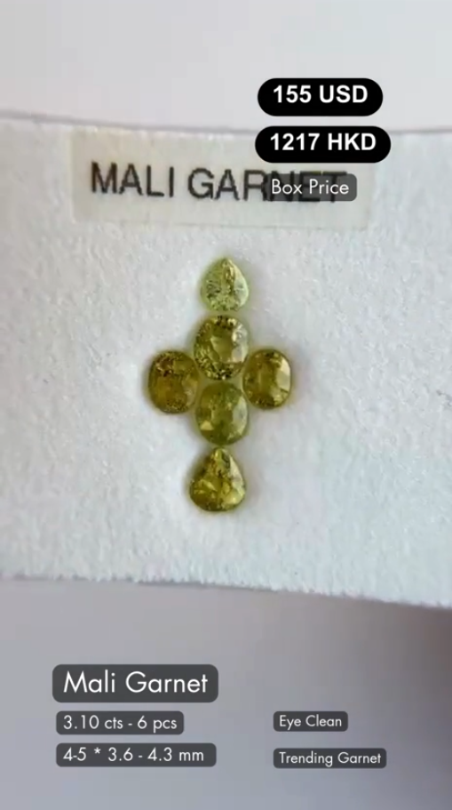 Mali Garnet Deal (3.10 cts)
