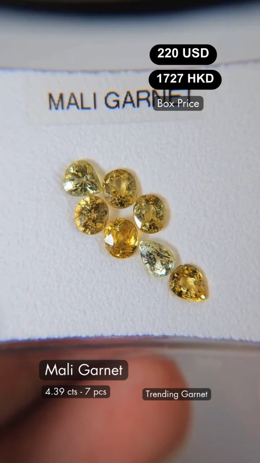 Mali Garnet Deal (4.39 cts)
