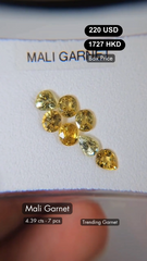 Mali Garnet Deal (4.39 cts)