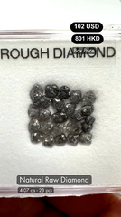 Natural Raw Diamond Deal (4.07 cts)