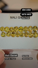 Mali Garnet Deal (9.87 cts)