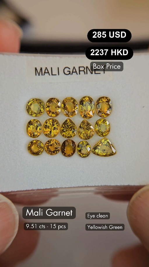 Mali Garnet Deal (9.51 cts)