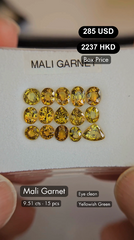 Mali Garnet Deal (9.51 cts)