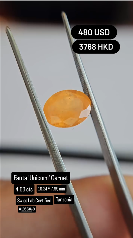 Fanta 'Unicorn' Garnet Deal (4.00 cts)
