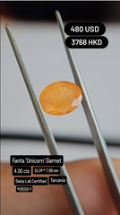 Fanta 'Unicorn' Garnet Deal (4.00 cts)