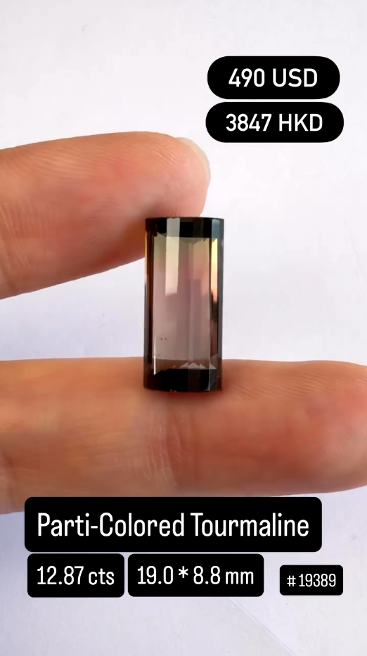 Parti-Colored Tourmaline (12.87 cts)