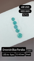 Greenish Blue Paraiba Deal (1.02 cts)