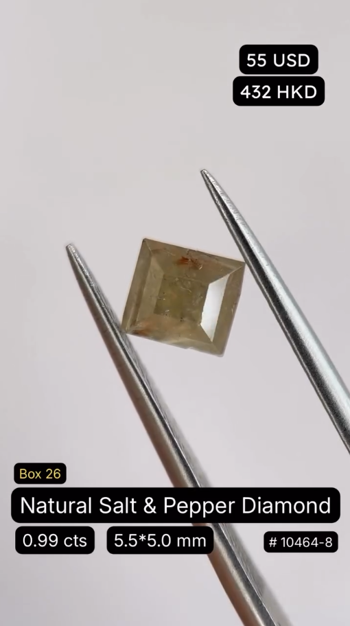 Natural Salt & Pepper Diamond Deal (0.99 cts)