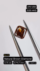 Natural Brown Diamond Deal (0.75 cts)