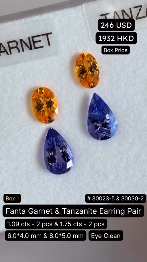Fanta Garnet & Tanzanite Earring Pair Deal (1.09 cts & 1.75 cts)