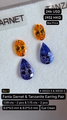 Fanta Garnet & Tanzanite Earring Pair Deal (1.09 cts & 1.75 cts)