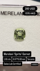 Merelani 'Sprite' Garnet Deal (1.61 cts)
