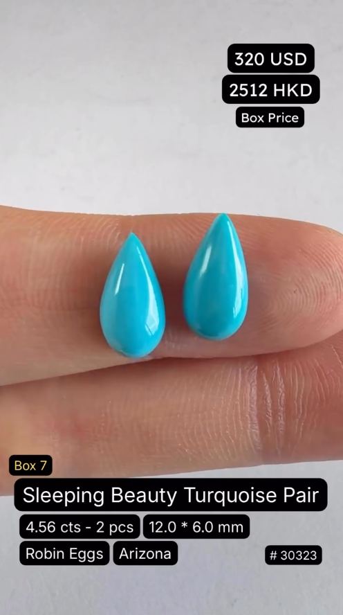 Sleeping Beauty Turquoise Pair Deal (4.56 cts)