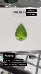 Paraiba Deal (3.26 cts)
