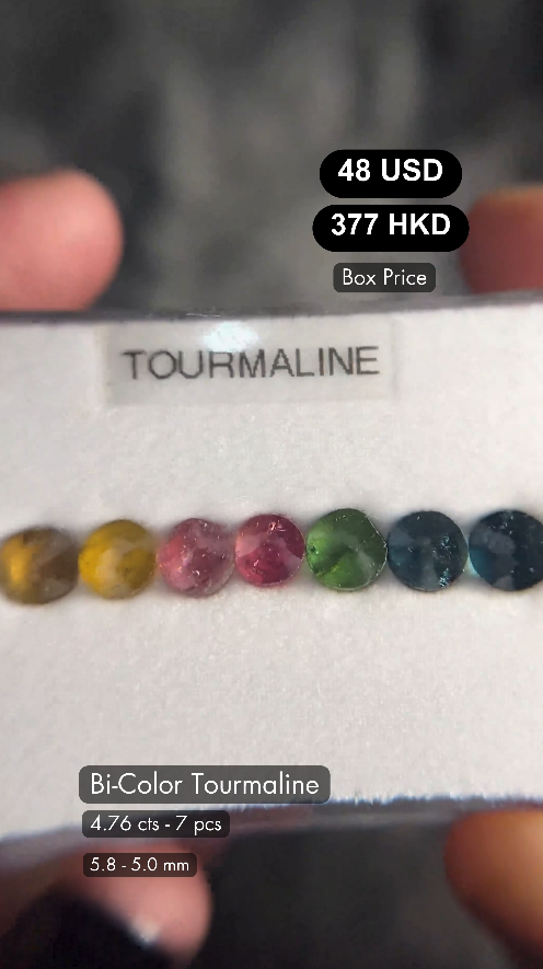 Bi-Color Tourmaline Deal (4.76 cts)