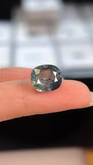 No Heat Cushion Shaped Peacock Sapphire (5.70 cts)