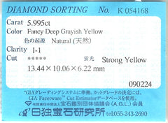 Fancy Deep Grayish Yellow Diamond (5.99 cts)