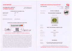 Neon Green Paraiba (4. 51 cts)