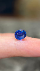 No Heat Royal Blue Sapphire (1.46 cts)