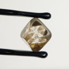 Natural Asteriated Diamond (8.38 cts)