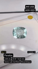 Paraiba Deal (2.64 cts)